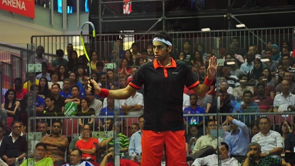 محمد الشوربجي المصنف