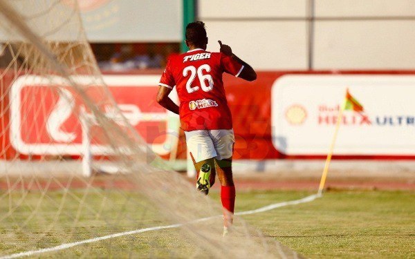 فيديو وصور| الأهلي