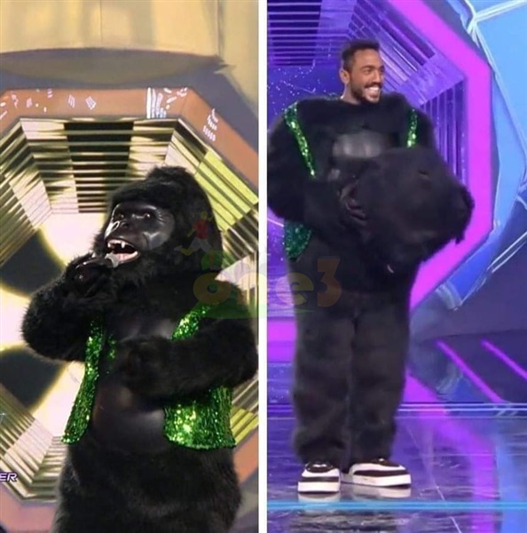 شاهد..دليل سفر نجم